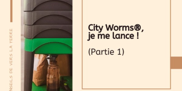City Worms, I'm going for it! (part1)