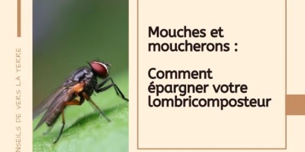 Fliegen und Kriebelmücken: Wie verschonen Sie Ihren Wurmkomposter?