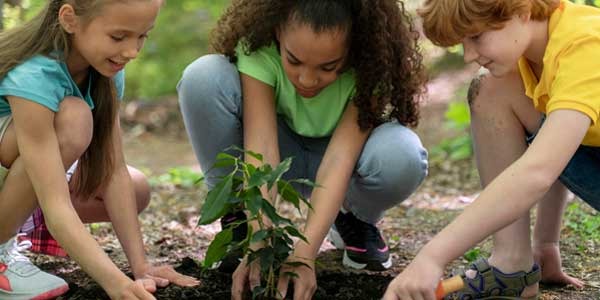 Kinder an die Wurmkompostierung heranführen: Pädagogischer Leitfaden