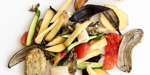 Entscheiden Sie sich für einen Wurmkomposter für die Küche: Kompostieren im Alltag